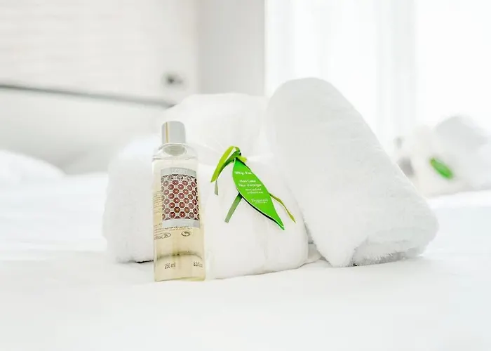 Le Palmazur - Center Near Sea 公寓